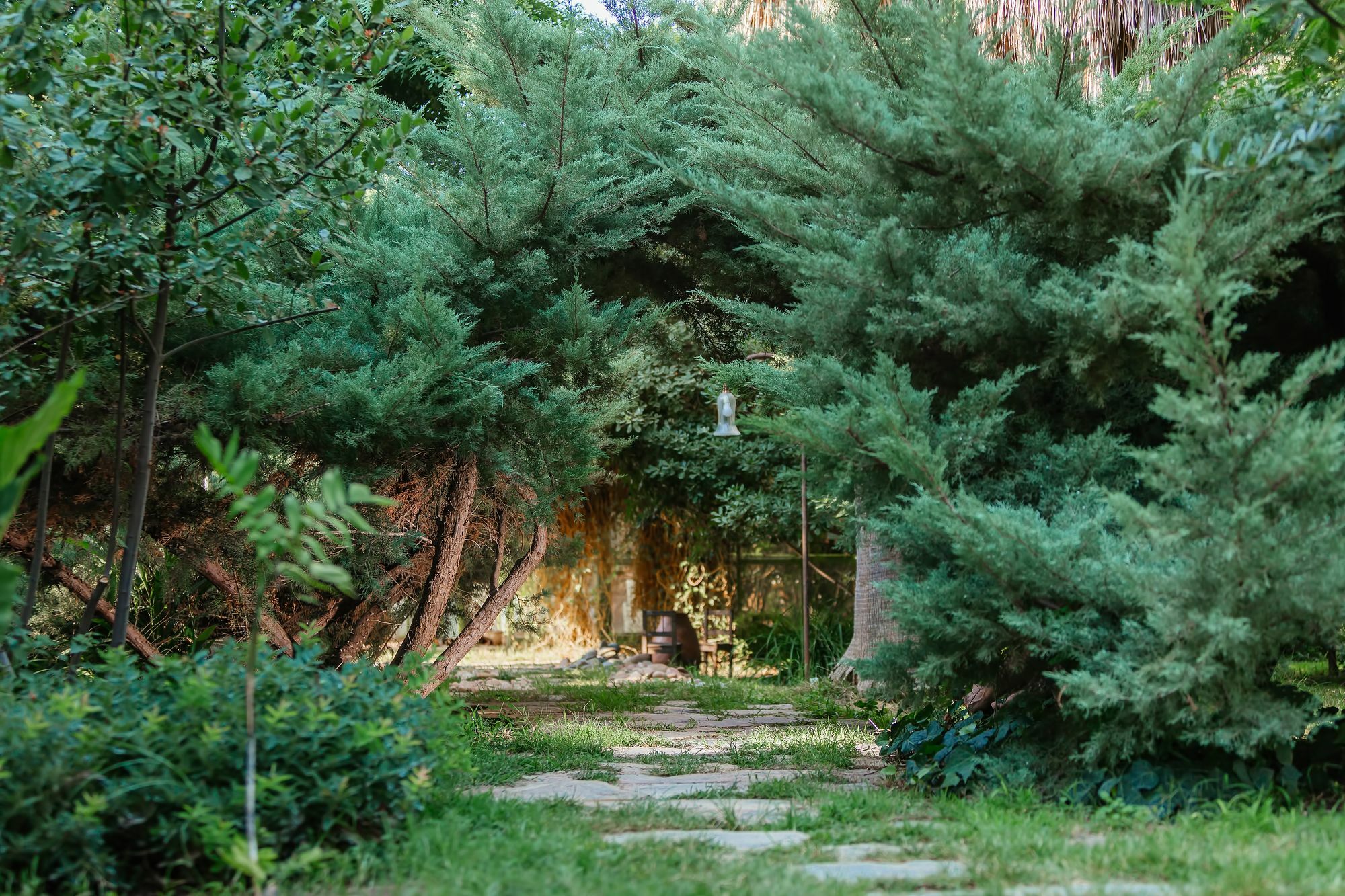 Olympos Lodge Çıralı Exterior foto